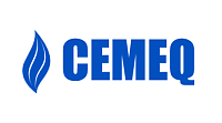 ООО "ЦЕМЕК МИНЕРАЛС"